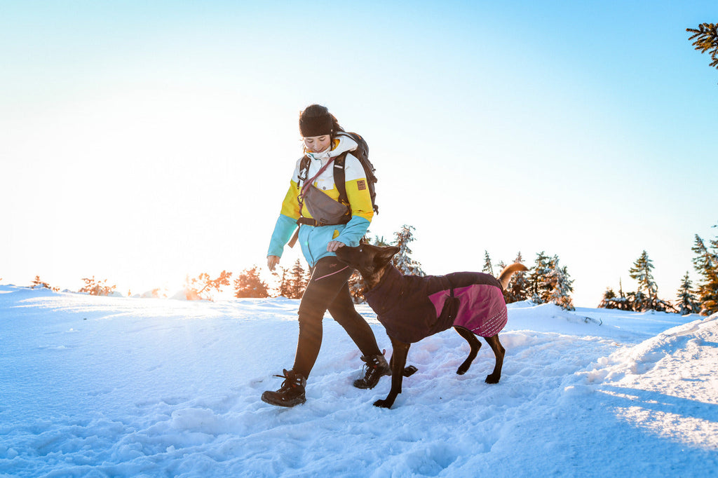 Dog Winter Jacket product image 14