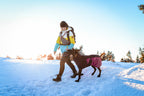 Dog Winter Jacket product image 14