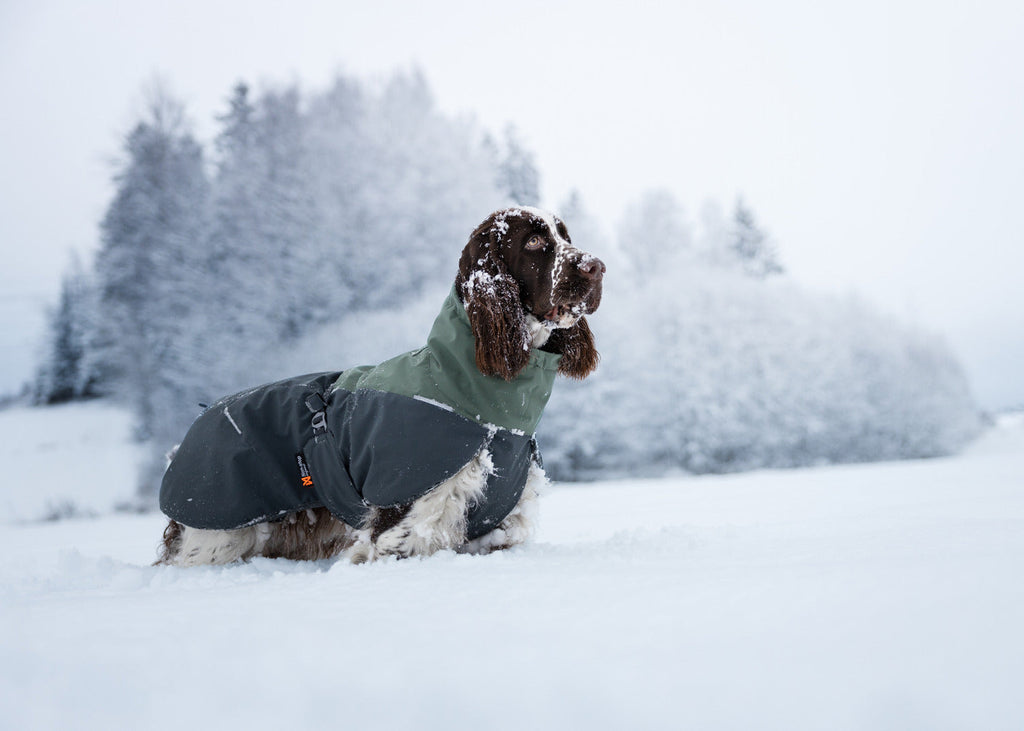 Dog Winter Jacket product image 2