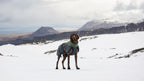 Dog Winter Jacket product image 6