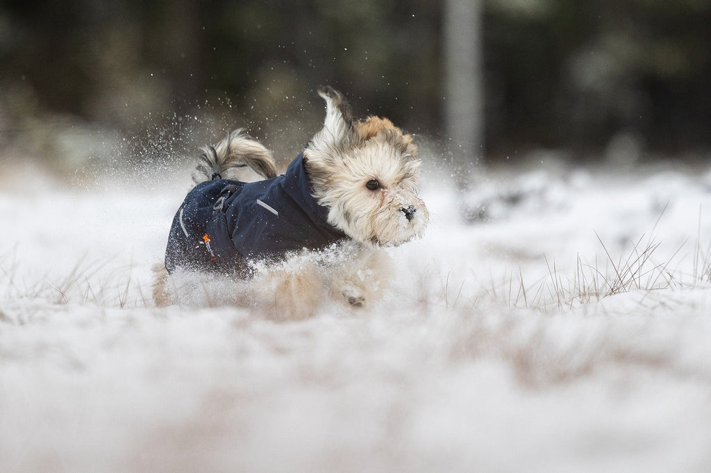 Dog Winter Jacket product image 9