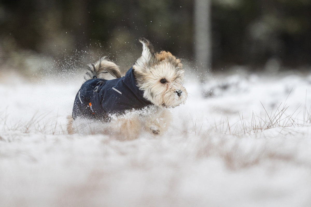 Dog Winter Jacket product image 9