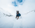 Dog Winter Jacket product image 10
