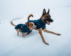Dog Winter Jacket product image 11