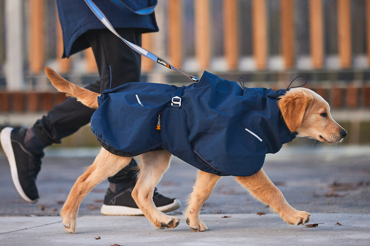 Dog Winter Jacket product image 12