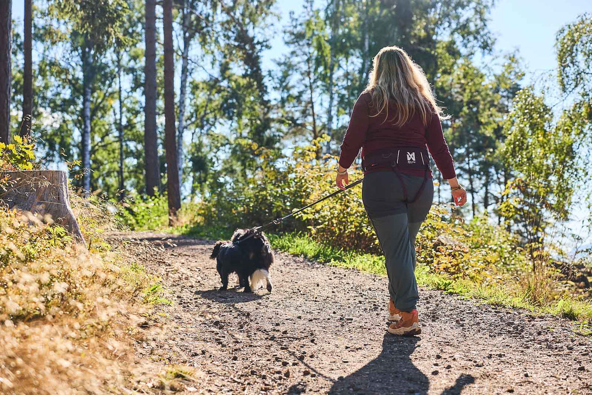 Hands-Free Dog Belt product image 3
