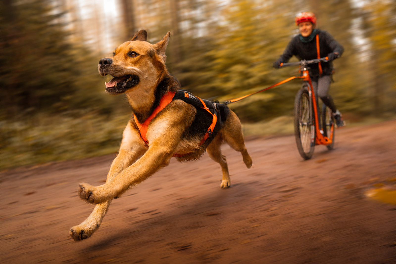 Dog Harness product image 6