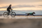 Dog Harness product image 7