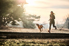 Dog Harness product image 8