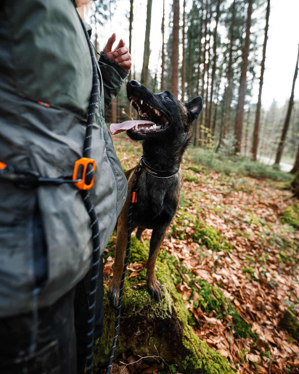 Hands-Free Dog Leash product image 2