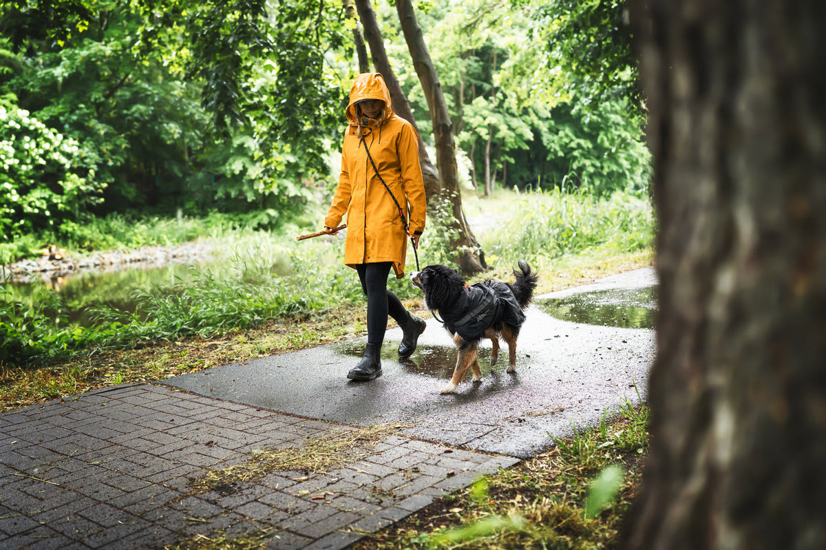 Hands-Free Dog Leash product image 6