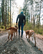 Hands-Free Dog Leash product image 7