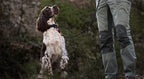 Rope Dog Leash product image 2