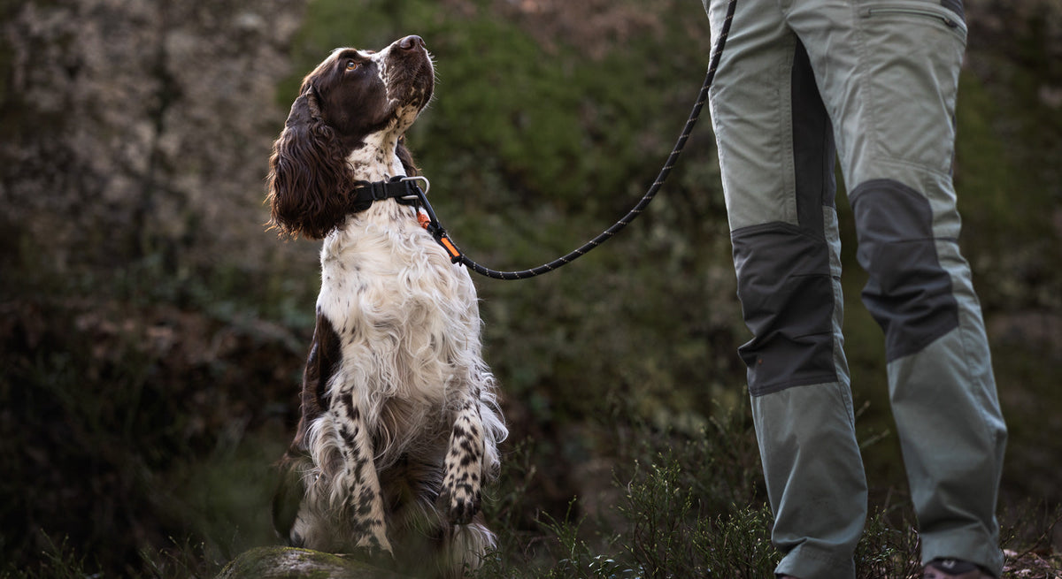 Rope Dog Leash product image 2