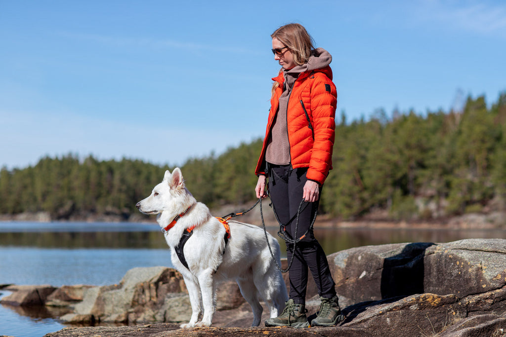 Rope Dog Leash product image 8