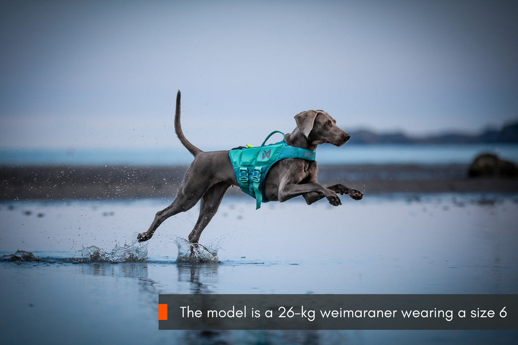 Dog Life Jacket product image 4