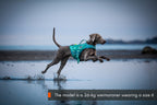 Dog Life Jacket product image 4