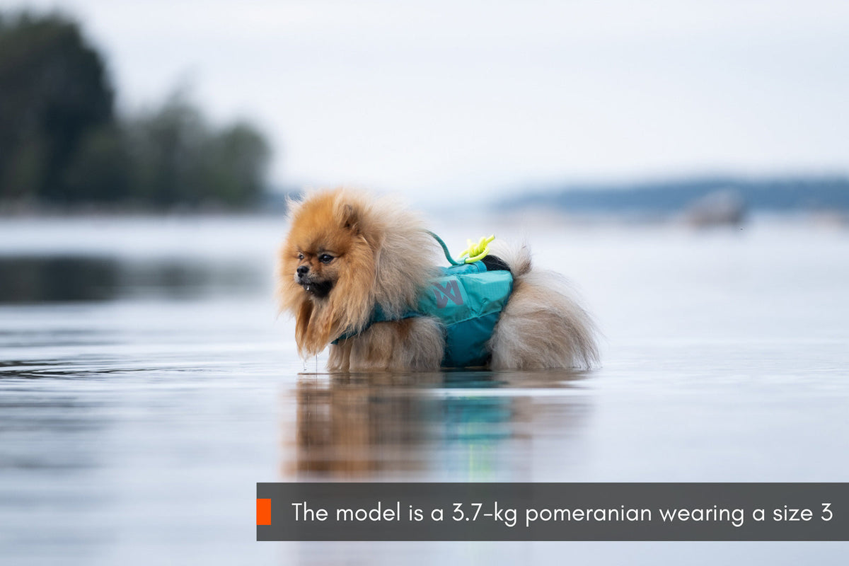 Dog Life Jacket product image 5