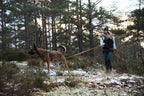 Dog Training Long Line product image 2