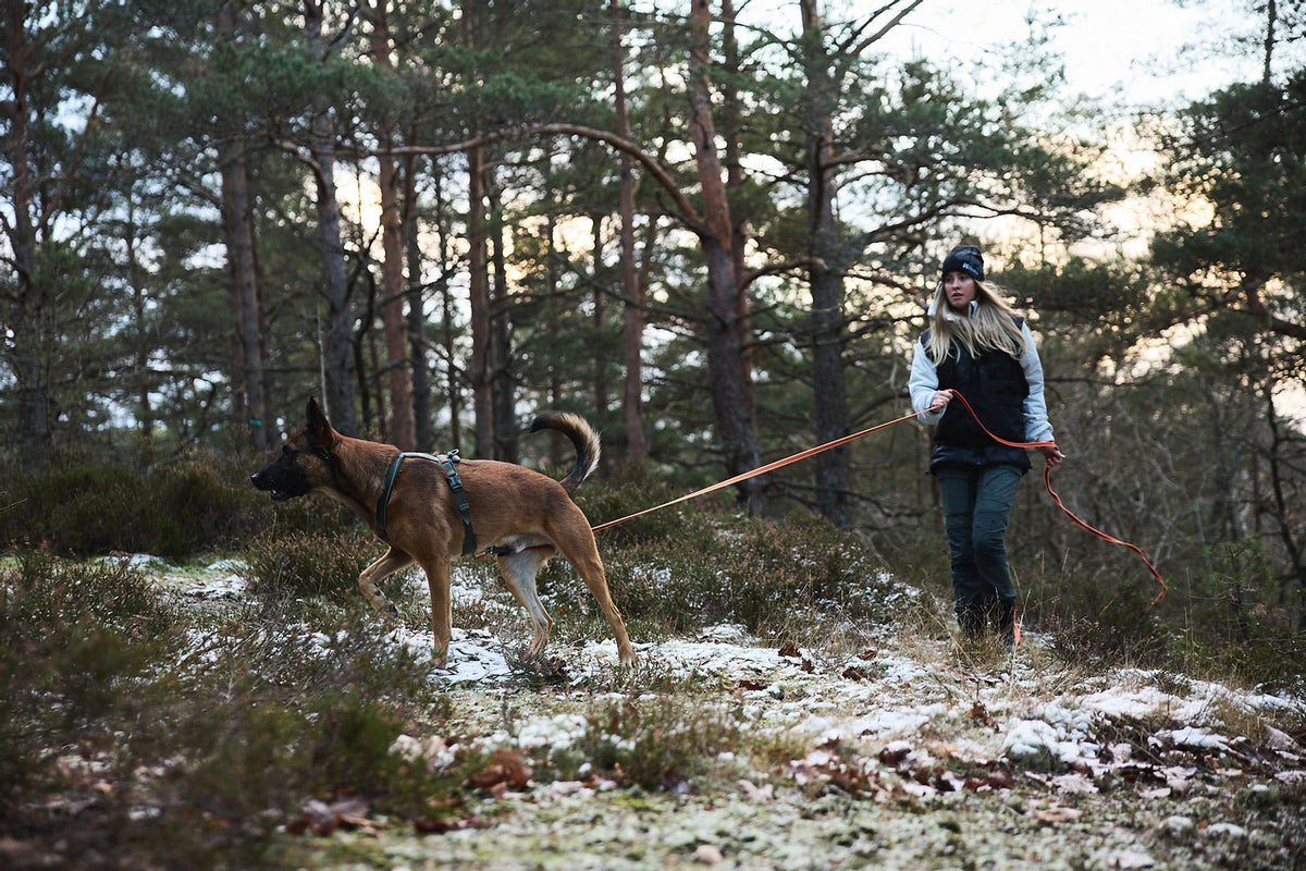 Dog Training Long Line product image 2