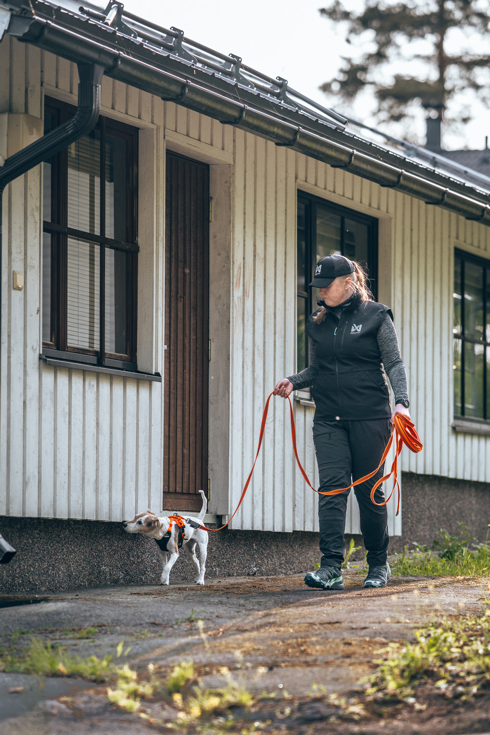 Dog Training Long Line product image 3