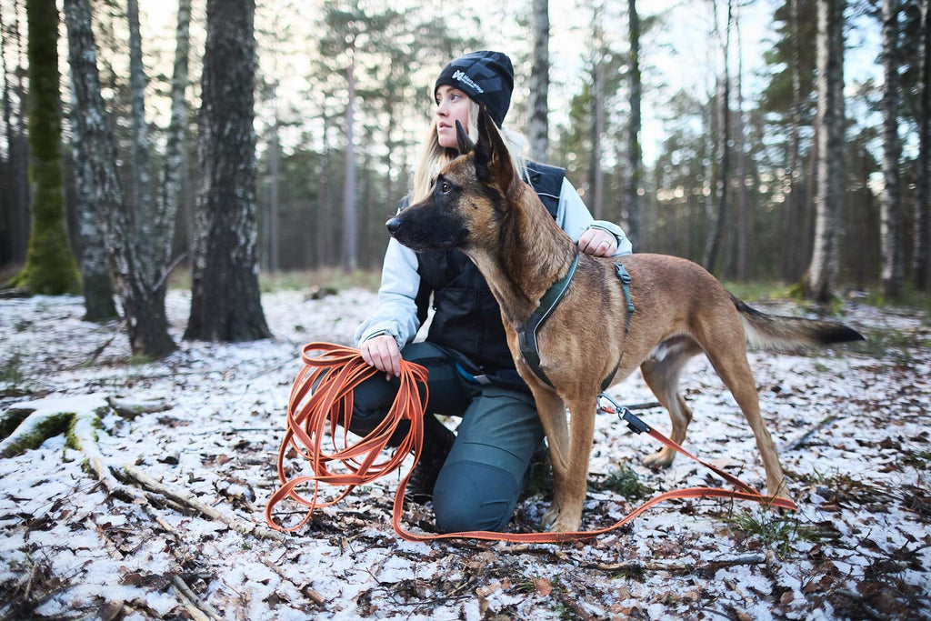 Dog Training Long Line product image 4