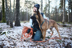 Dog Training Long Line product image 4