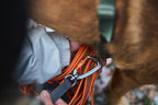 Dog Training Long Line product image 6