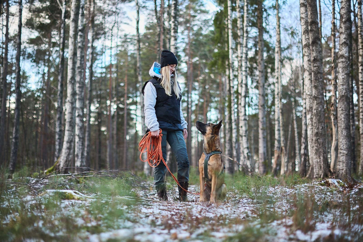 Dog Training Long Line product image 8