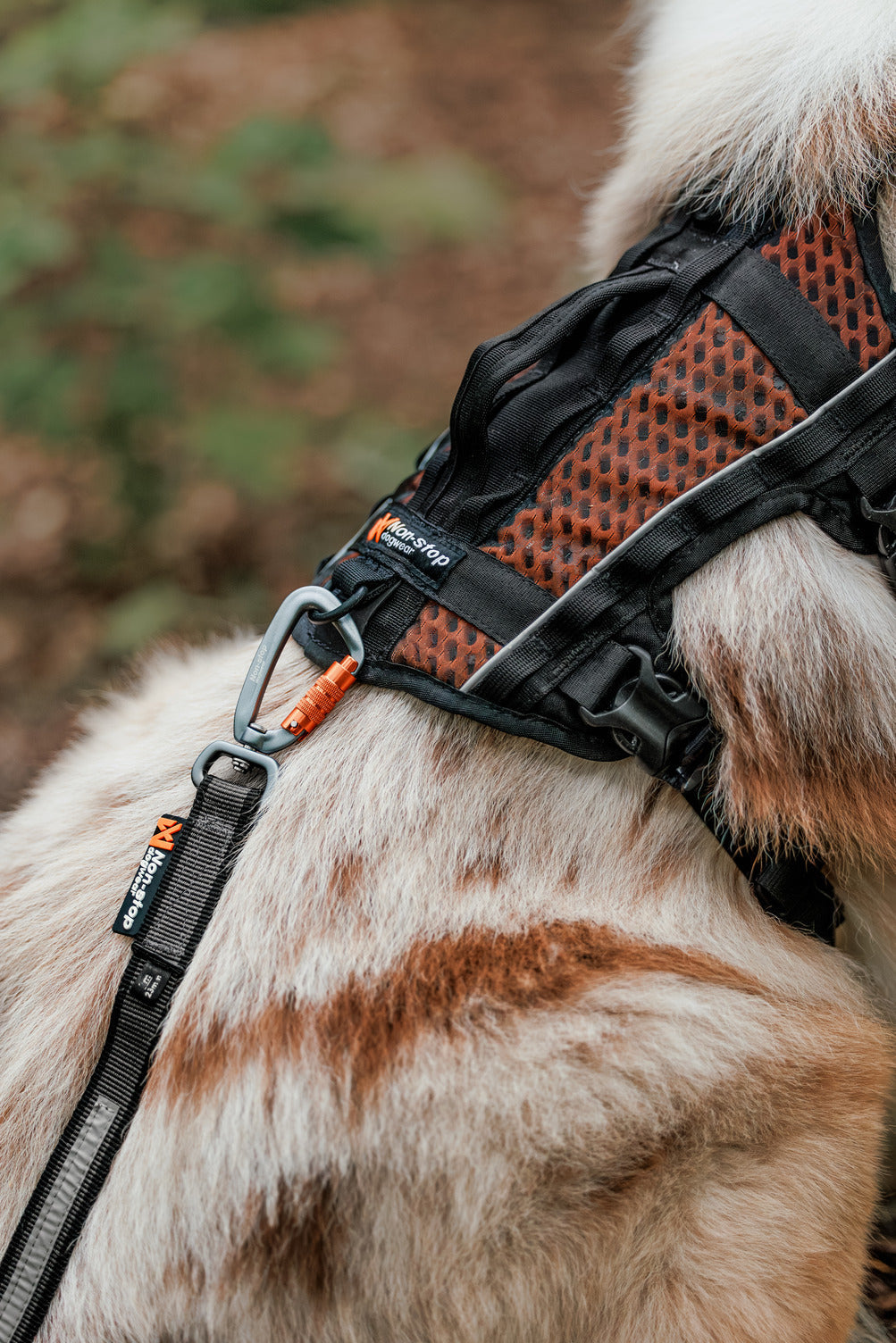 Dog Harness product image 5