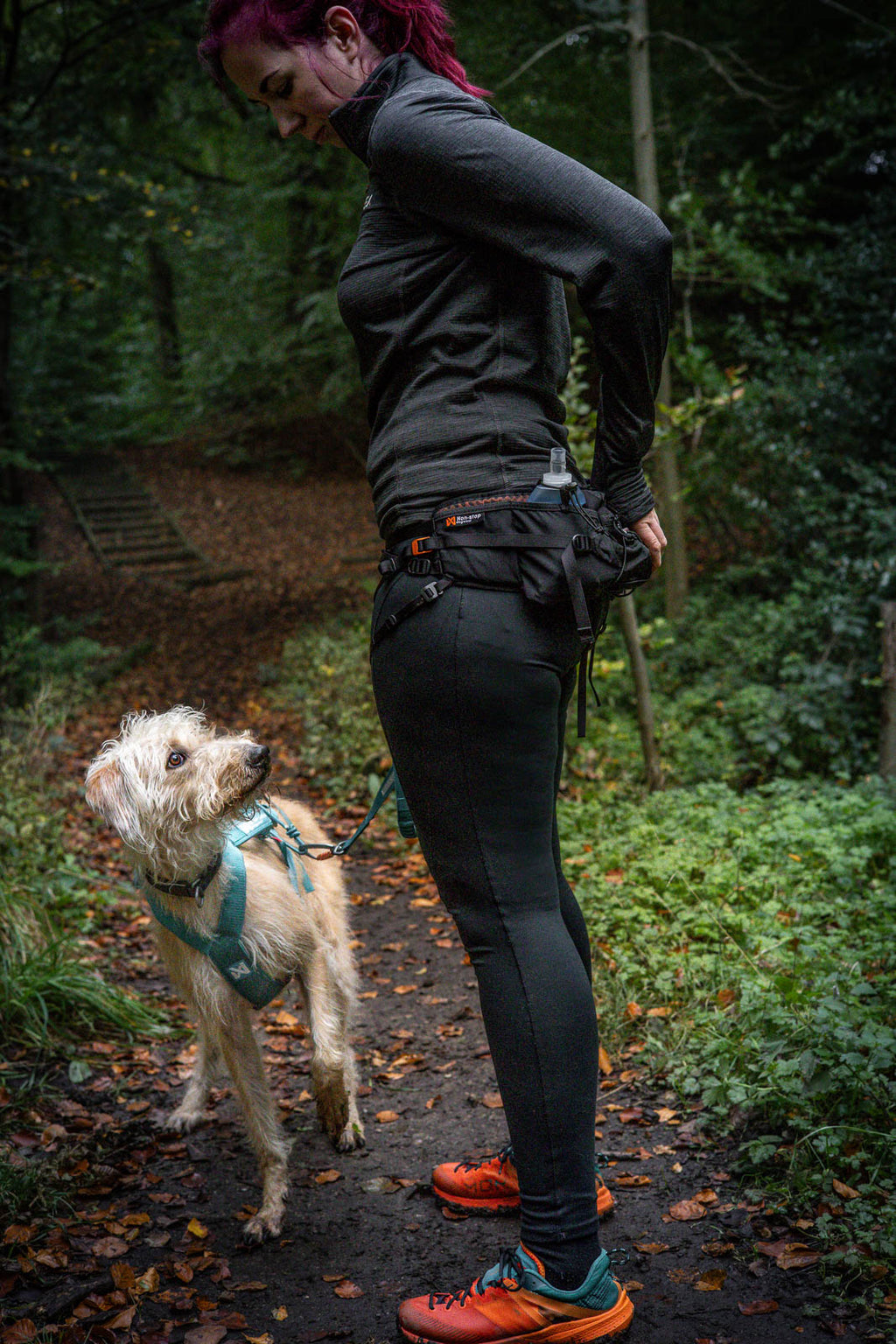 Dog Running Belt product image 2