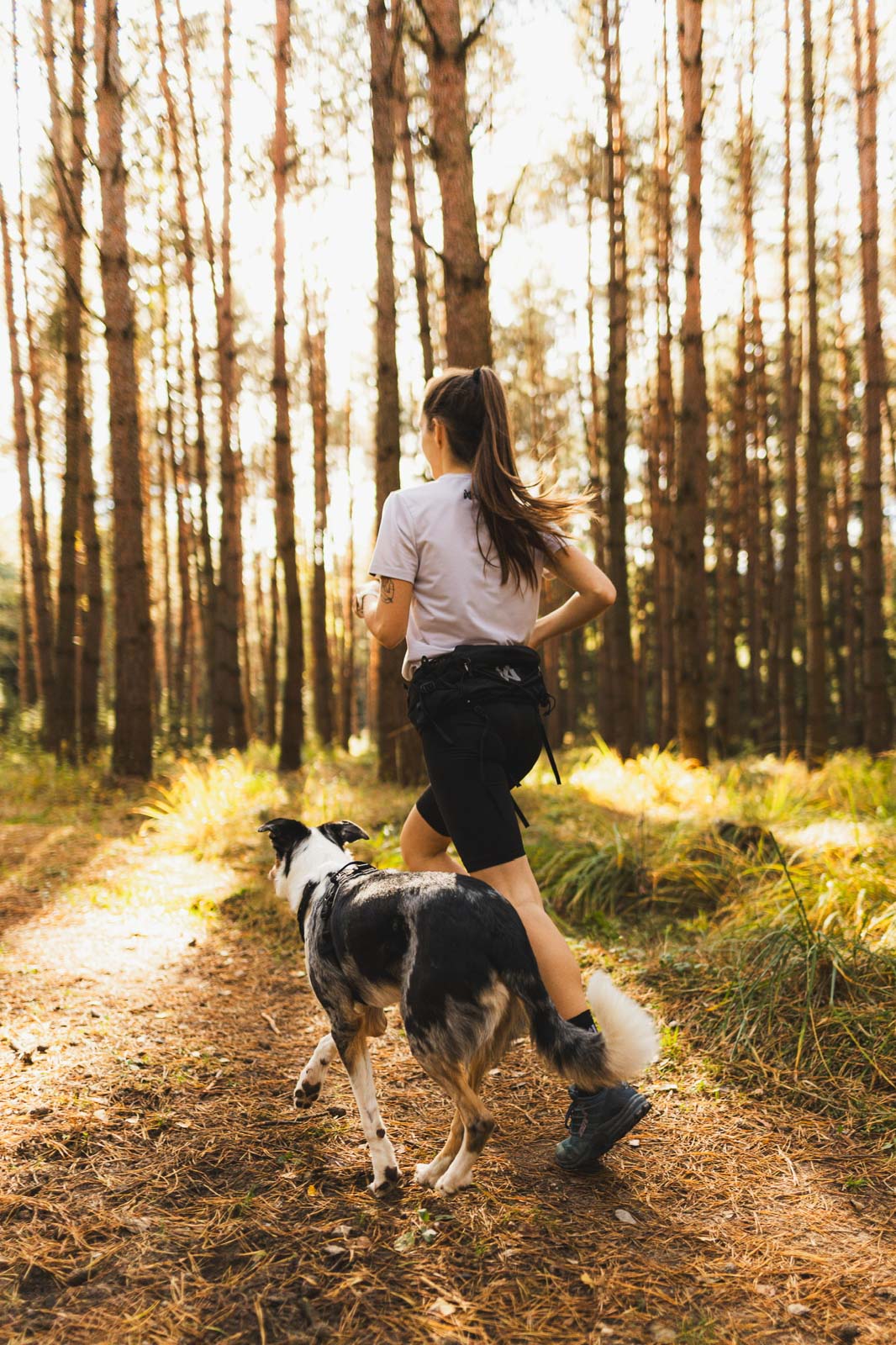 Dog Running Belt product image 3