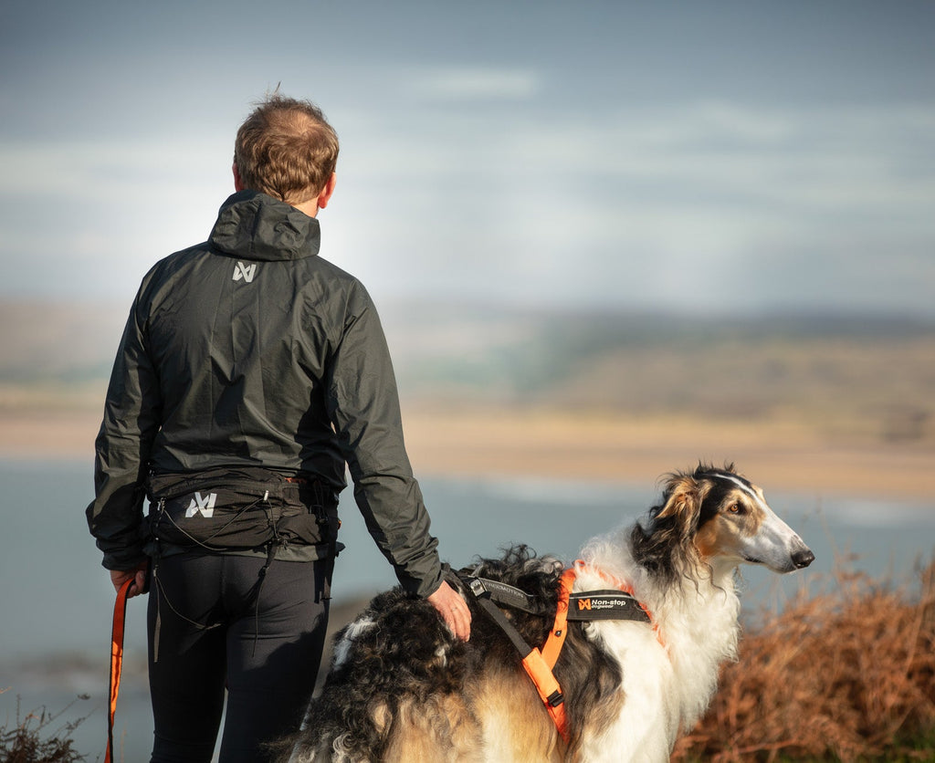 Dog Running Belt product image 4