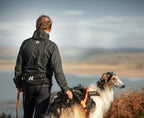 Dog Running Belt product image 4