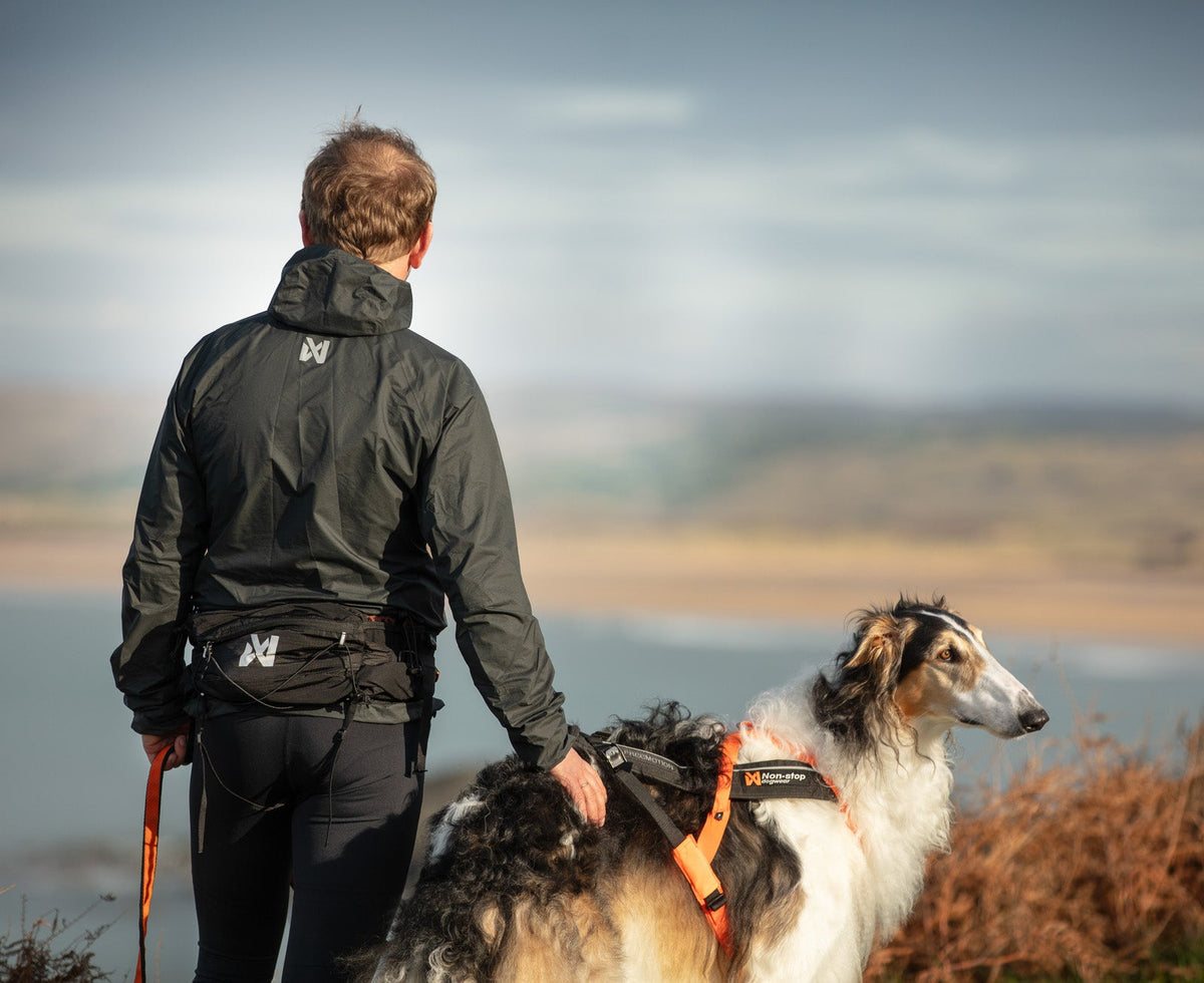 Dog Running Belt product image 4