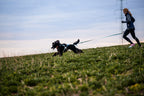 Canicross Running Belt product image 5