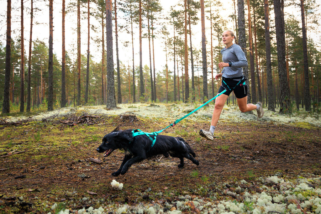 Canicross Running Belt product image 10