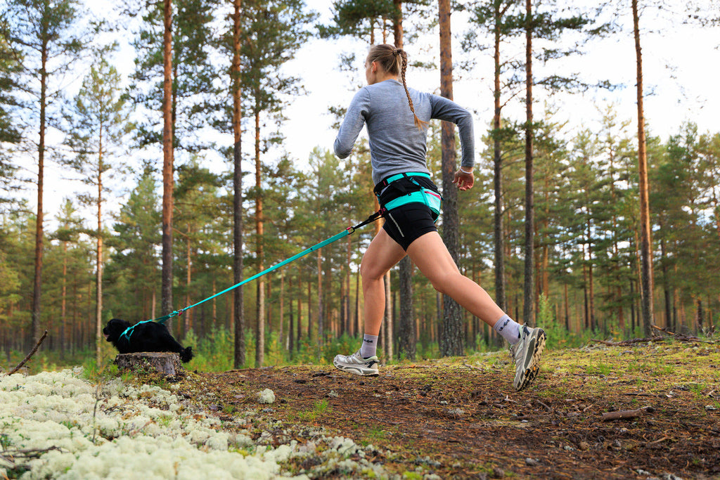 Canicross Running Belt product image 13