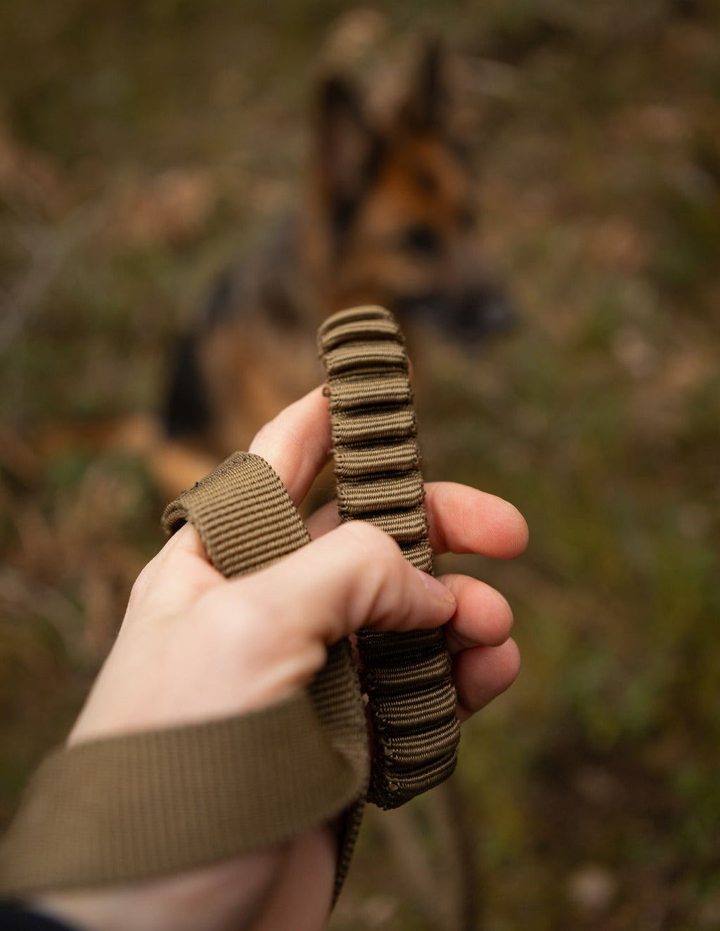Bungee Dog Leash product image 6