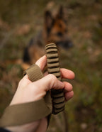 Bungee Dog Leash product image 6