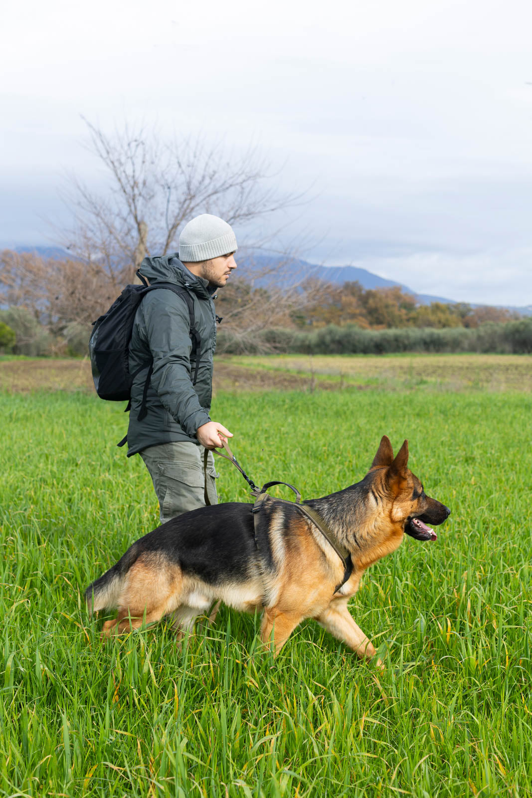 Bungee Dog Leash product image 7