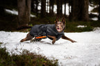Insulated Dog Jacket product image 2