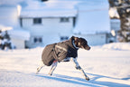 Insulated Dog Jacket product image 4