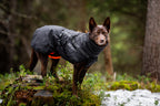 Insulated Dog Jacket product image 5