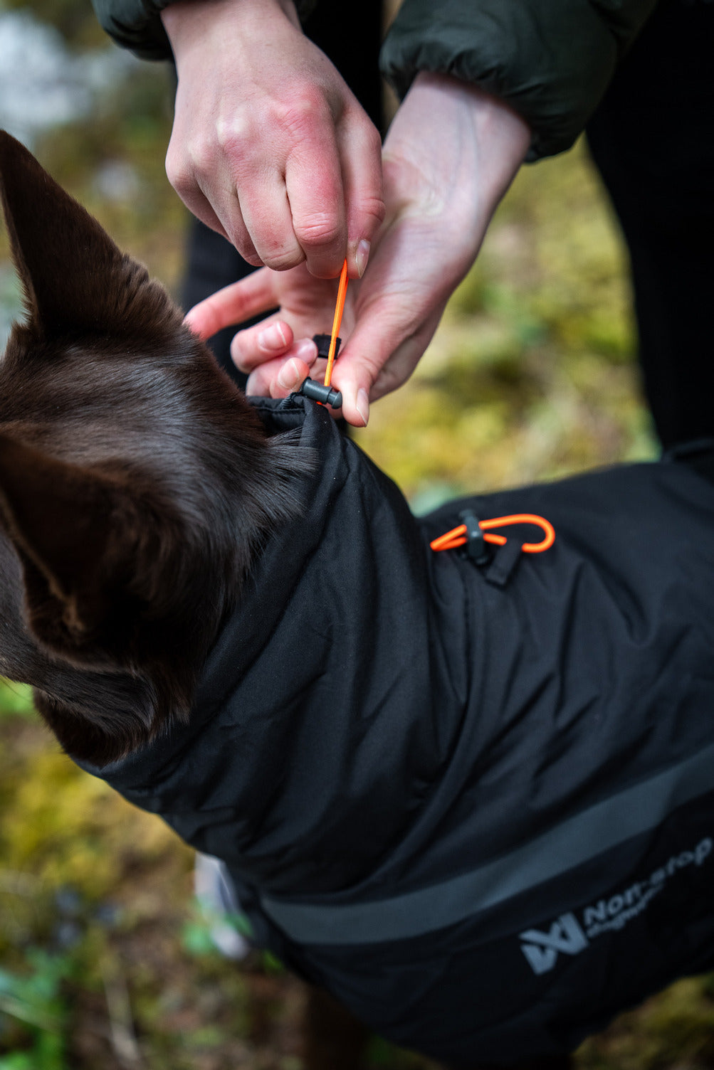 Insulated Dog Jacket product image 7