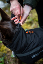 Insulated Dog Jacket product image 7