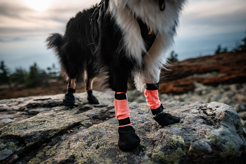 Dog Booties product image 4