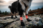 Dog Booties product image 4