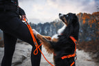 Trekking Rope Leash product image 5