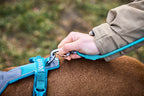 Trekking Rope Leash product image 8